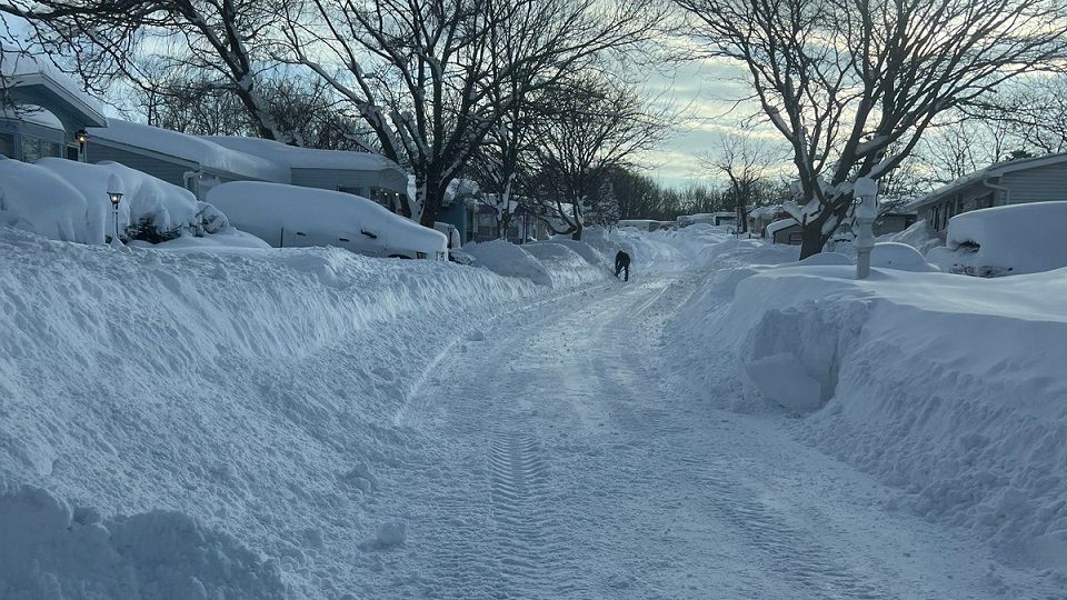 Photo gallery Severe winter weather continues in WNY